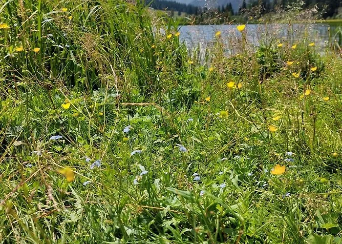 Edlinger Pensjonat 3*